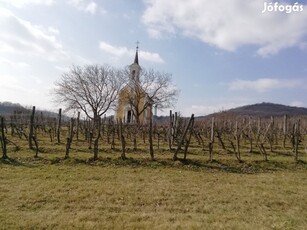 Lesenceistvándi eladó mezőgazdasági ingatlan