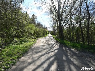 Székesfehérvári eladó telek