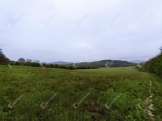 Zalaszántó, ingatlan, mezőgazd. ingatlan, 21714 m2, 4.000.000 Ft