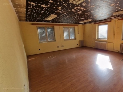 Egyetemváros, Pécs, ingatlan, üzleti ingatlan, 40 m2, 55.000 Ft