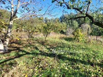 Szentes, ingatlan, mezőgazd. ingatlan, 1440 m2, 2.200.000 Ft