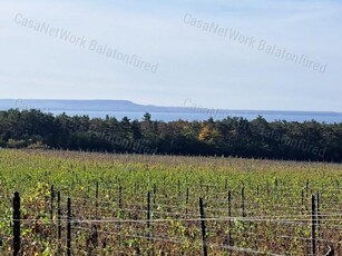 Eladó mezogazdasagi ingatlan Balatonakali