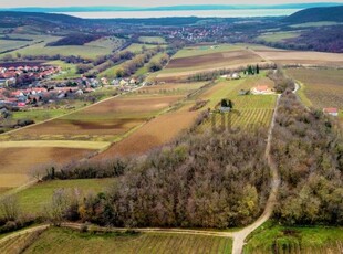 Eladó mezogazdasagi ingatlan Balatoncsicsó