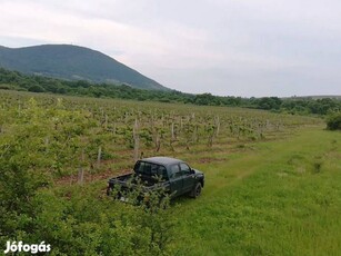 Eger Felsőtárkány határában mezőgazdasági terület, szántó, 49910 m2