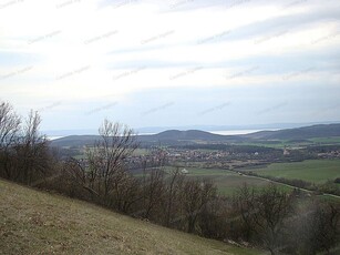 Eladó mezogazdasagi ingatlan Pécsely