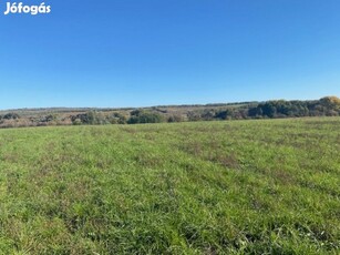 Erdőkertes, Fő utca felől megközelíthető, 3000 m2-es, telek