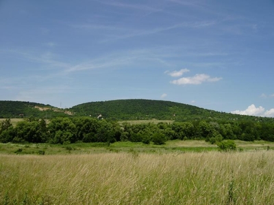 Eladó mezőgazdasági ingatlan - Budakeszi