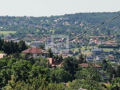 Budaörs, Csikidűlő, Fügefa utcában