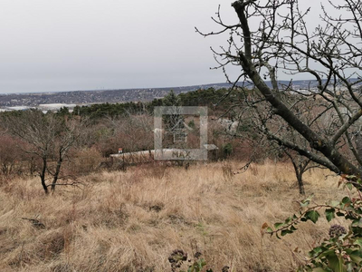 Budaörs, Frankhegy, Frankhegyen