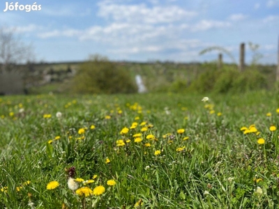 Csodálatos panorámával rendelkező építési telek Egerben!