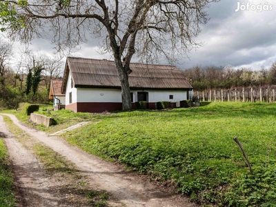 Lesencefalun szőlő birtok nádtetős pincével