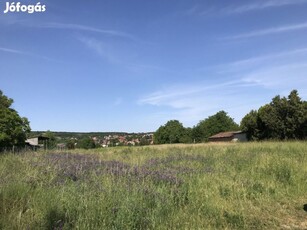 Gödöllő, Központhoz közeli csendes utca, 9825 m2-es, telek