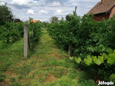 Balatonszabadi zártkerti nyaraló