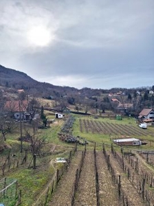 Eladó Ház, Veszprém megye Tapolca