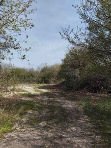 Balatonfűzfő, ingatlan, üzleti ingatlan, 8000 m2, 3.000.000 Ft