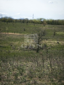 Csomád, ingatlan, mezőgazd. ingatlan, 890 m2, 1.500.000 Ft