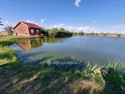 Derekegyház, ingatlan, üzleti ingatlan, 450 m2, 200.000.000 Ft