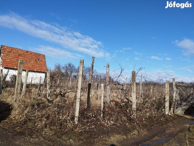 Eger közelében szőlő eladó!