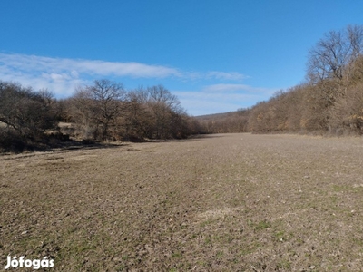 Legelő és erdő Hegyesd mellett. 4,2ha