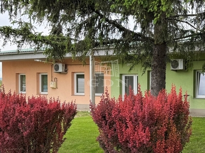 Szigetszentmiklós, ingatlan, üzleti ingatlan, 85 m2, 300.000 Ft