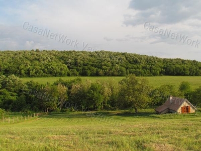 Eladó mezőgazdasági ingatlan - Balatoncsicsó