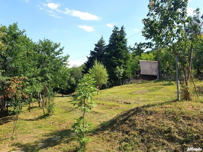 Erdőszéli építési telek 2000 m2 - Orfű, Baranya - Telek, föld