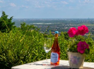 Eladó Ház, Pest megye Szentendre Szentendrén, kiváló elosztású 