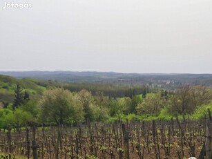 Gyümölcsös eladó Nemesszentandráson 1,6 HA présházzal, gépekkel