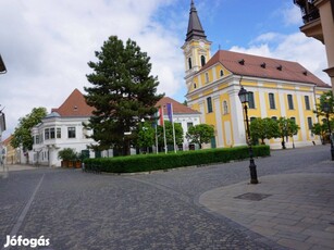 Székesfehérvár-Történelmi belvárosi 3 szobás lakás!