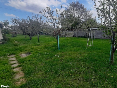 Azonnal költözhető családi ház! - Pécs, Baranya - Ház