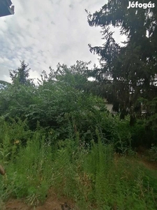 Debrecen ház és telek eladó