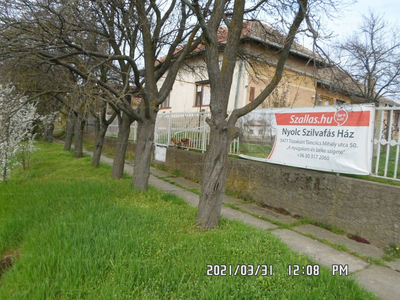 Eladó családi ház - Tiszakürt, Táncsics Mihály utca 50.