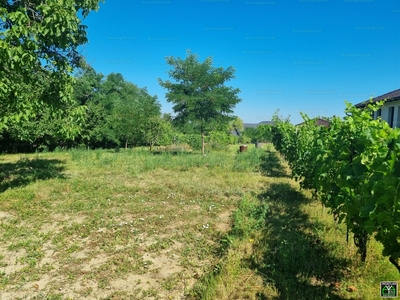 Eladó lakóövezeti telek - Győrság, Akác utca