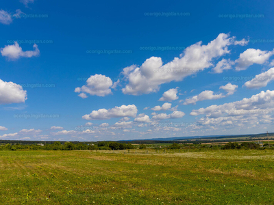 Eladó lakóövezeti telek - Sopron, Virágvölgy