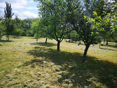 Eladó lakóövezeti telek - Szarvas, Macólapos