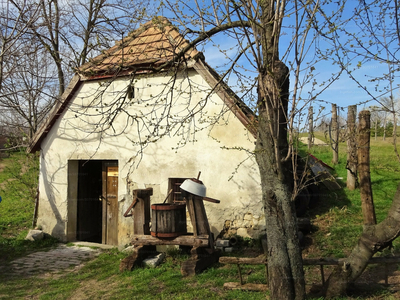 Eladó lakóövezeti telek - Úny, Templom utca