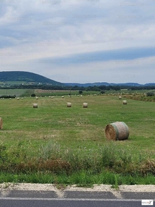 Eladó termőföld, szántó - Zánka, Külterület