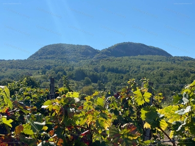 Nemesgulács, ingatlan, ház, 3261 m2, 19.900.000 Ft