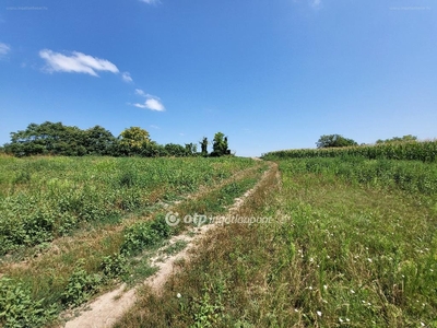 Siófok, ingatlan, üzleti ingatlan, 11094 m2, 244.068.000 Ft