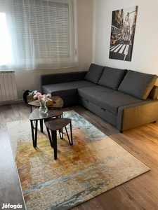 XIII. kerület - Vizafogó felújított apartman - XIII. kerület, Budapest - Lakás