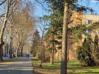 Zalaegerszegi Platánsori téglalakás - Zalaegerszeg, Zala - Lakás