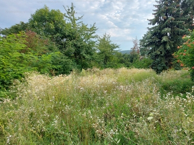 Eladó külterületi telek - Miskolc, Bencések köz