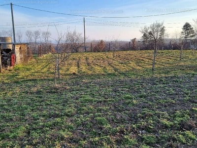 Eladó lakóövezeti telek - Kővágószőlős, Mókus utca