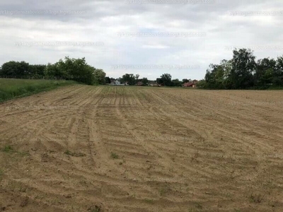 Eladó lakóövezeti telek - Nyíregyháza, Borbánya