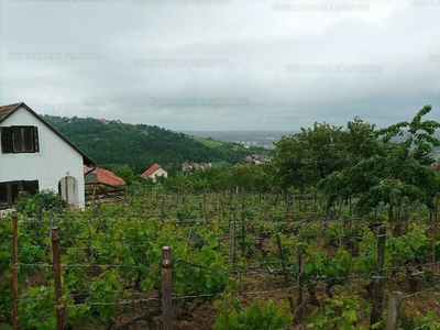 Eladó lakóövezeti telek - Pécs, Sáska dűlő