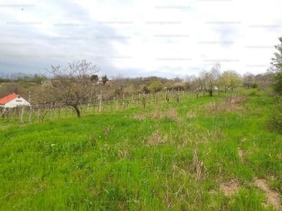 Eladó termőföld, szántó - Szekszárd, Ivánvölgy