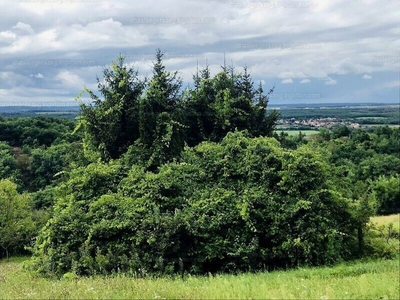 Eladó üdülőövezeti telek - Zalaegerszeg, Csácsihegyi út