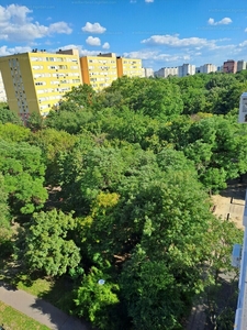 Kiadó panel lakás - XIV. kerület, Zsálya utca