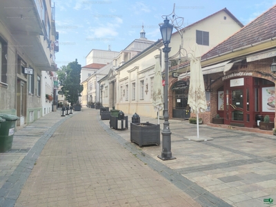 Kiadó utcai bejáratos üzlethelyiség - Miskolc, Déryné utca