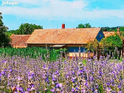 Dencsi Levendulás és Balaton közelében